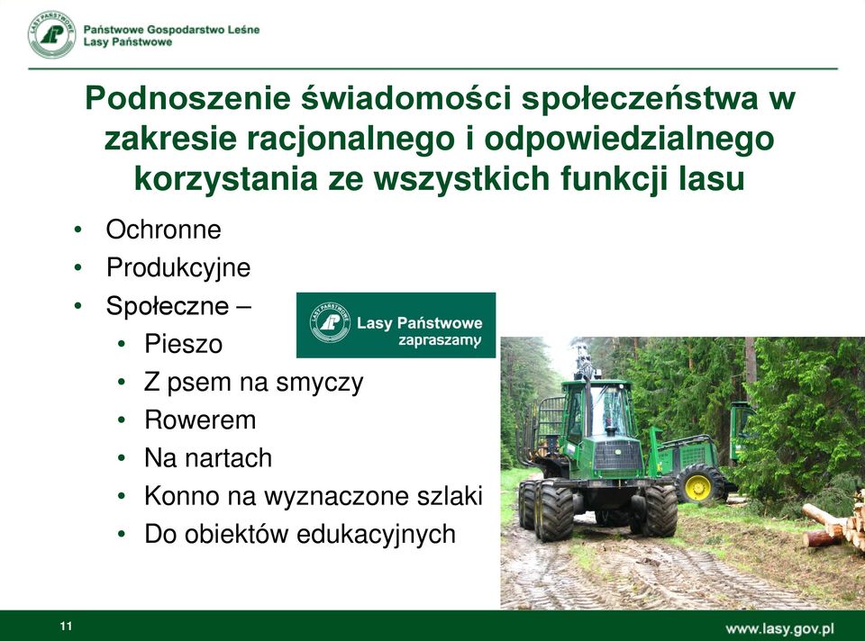 Ochronne Produkcyjne Społeczne Pieszo Z psem na smyczy