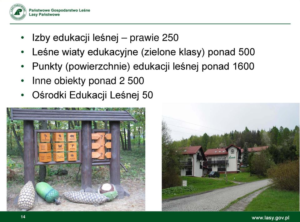 (powierzchnie) edukacji leśnej ponad 1600