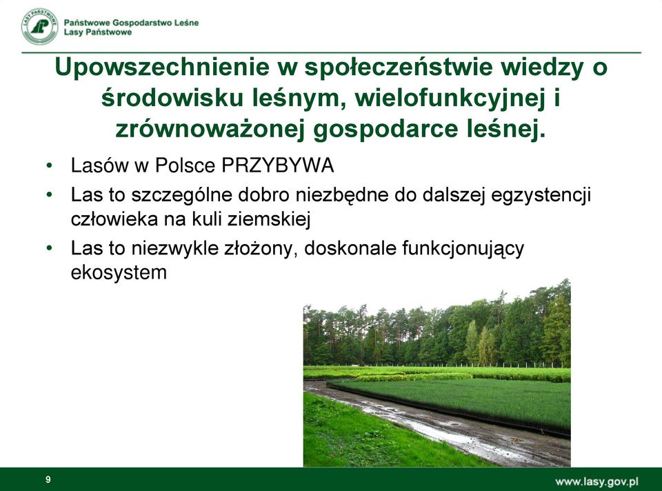 Lasów w Polsce PRZYBYWA Las to szczególne dobro niezbędne do dalszej