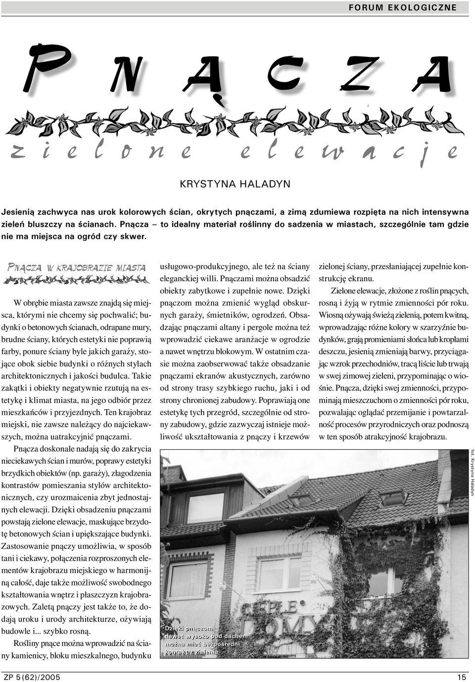 Pnącza w krajobrazie miasta W obrębie miasta zawsze znajdą się miejsca, którymi nie chcemy się pochwalić; budynki o betonowych ścianach, odrapane mury, brudne ściany, których estetyki nie poprawią
