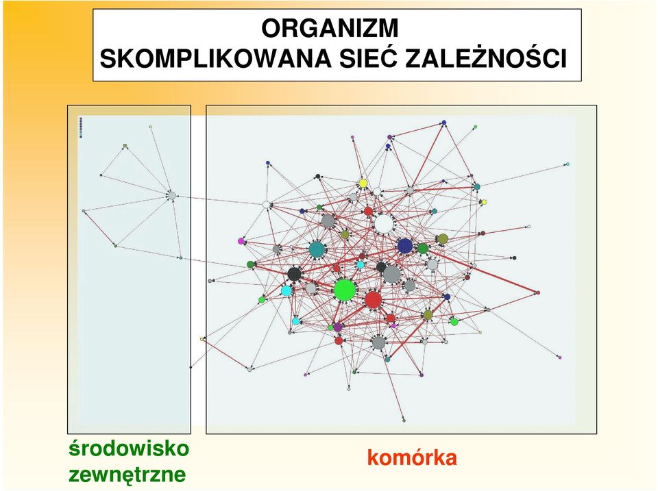 SIEĆ ZALEŻNOŚCI