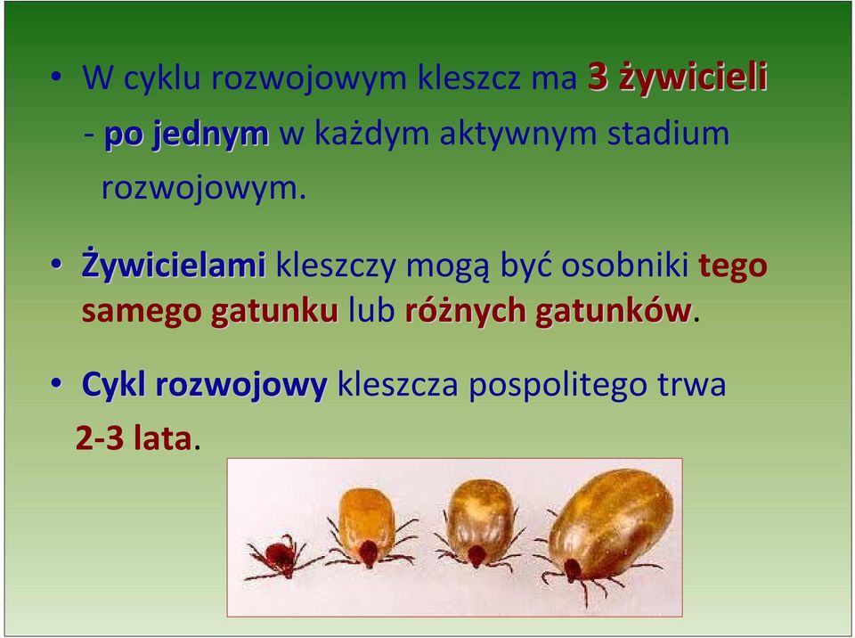 Żywicielami kleszczy mogą być osobniki tego samego