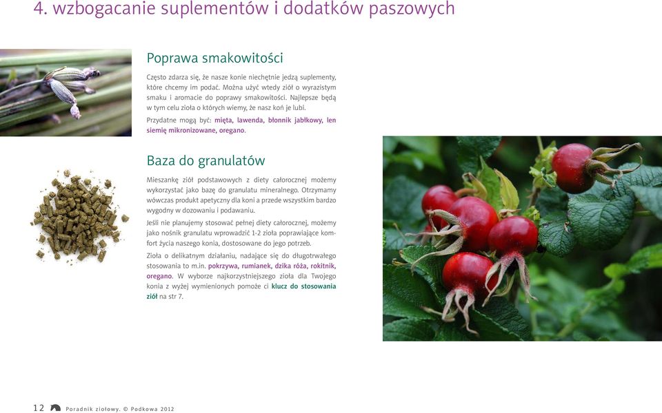 Przydatne mogą być: mięta, lawenda, błonnik jabłkowy, len siemię mikronizowane, oregano.