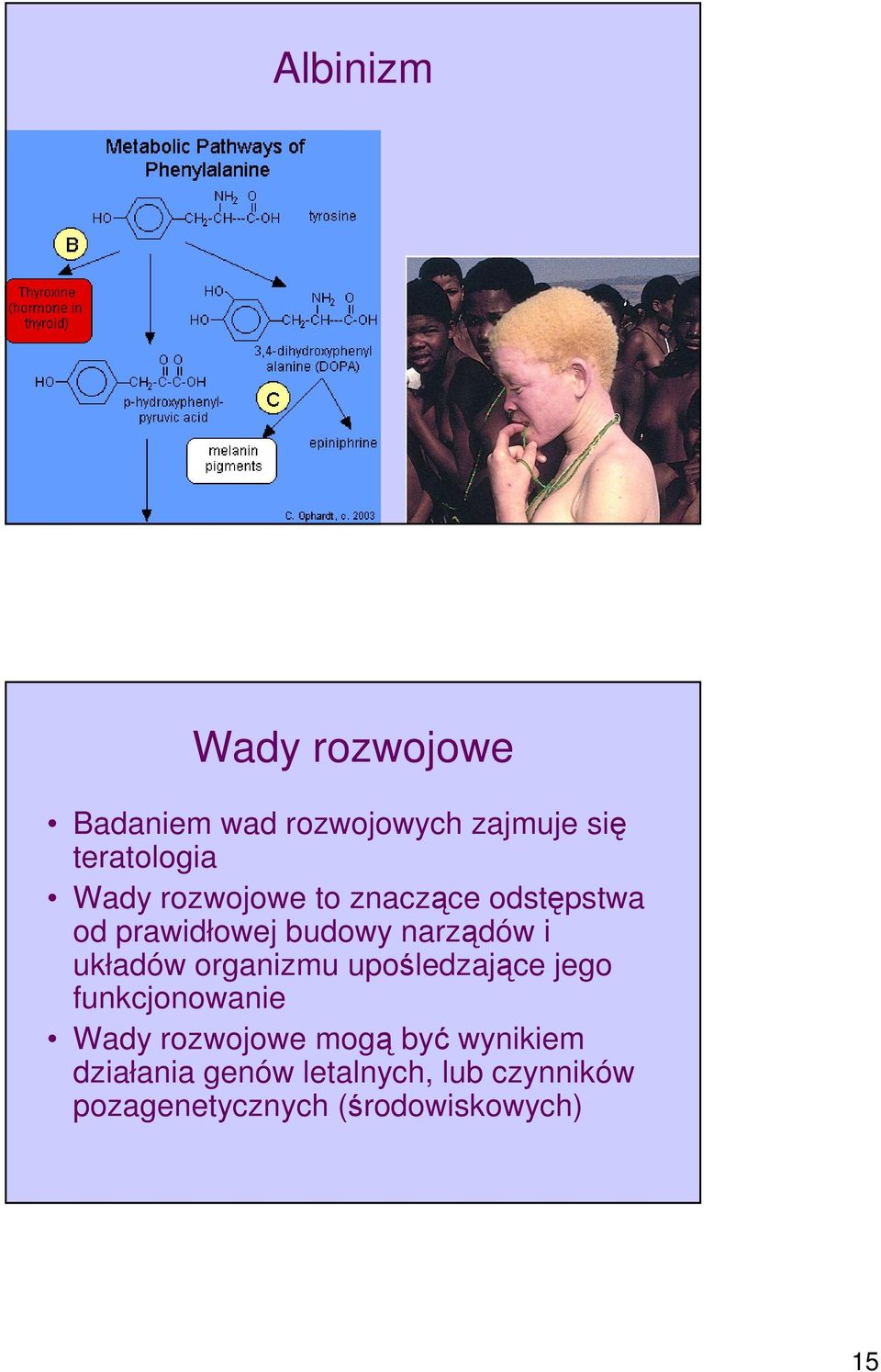 układów organizmu upośledzające jego funkcjonowanie Wady rozwojowe mogą być