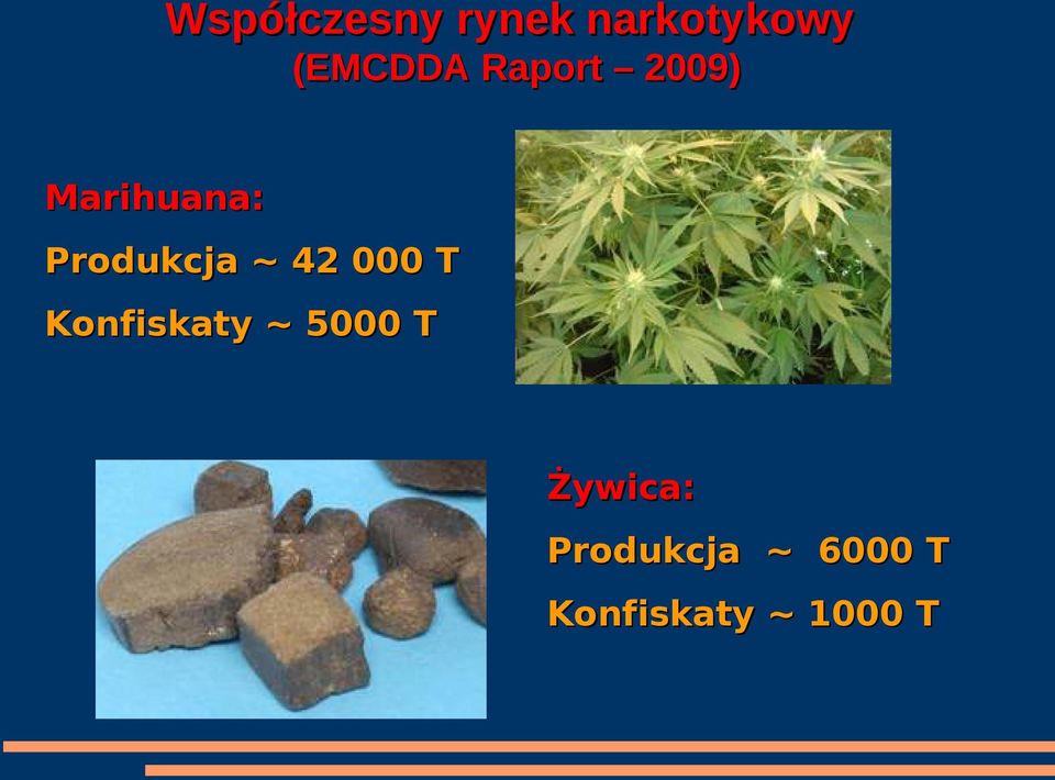 42 000 T Konfiskaty ~ 5000 T Żywica: