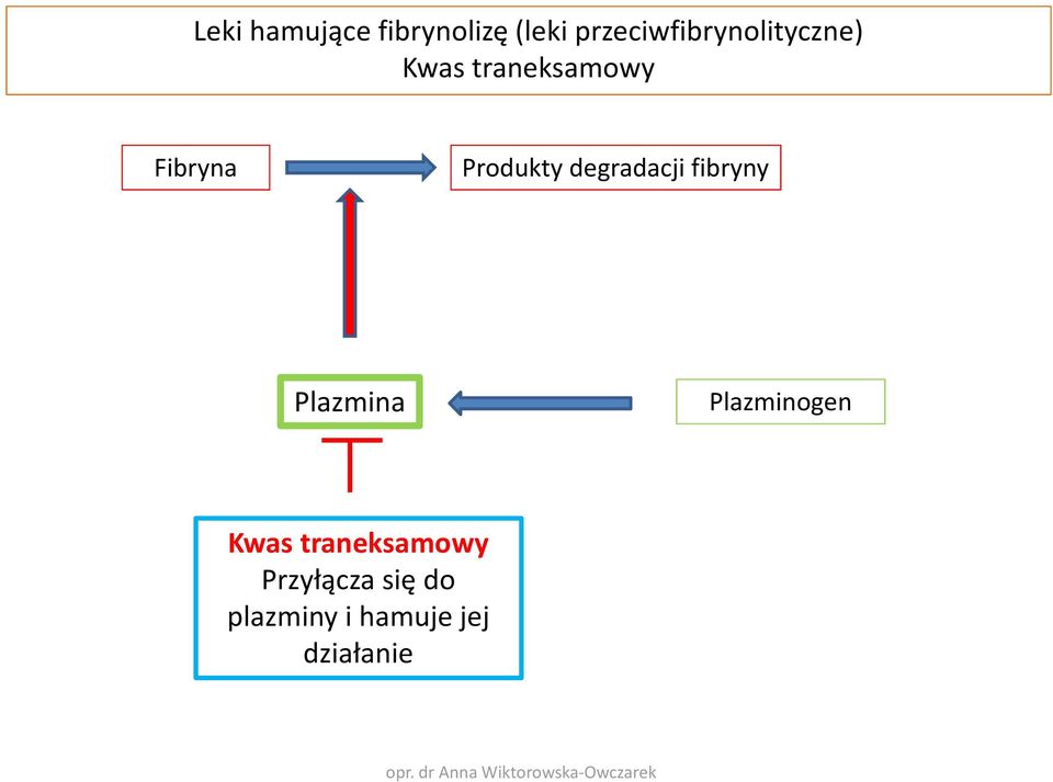 Produkty degradacji fibryny Plazmina Plazminogen