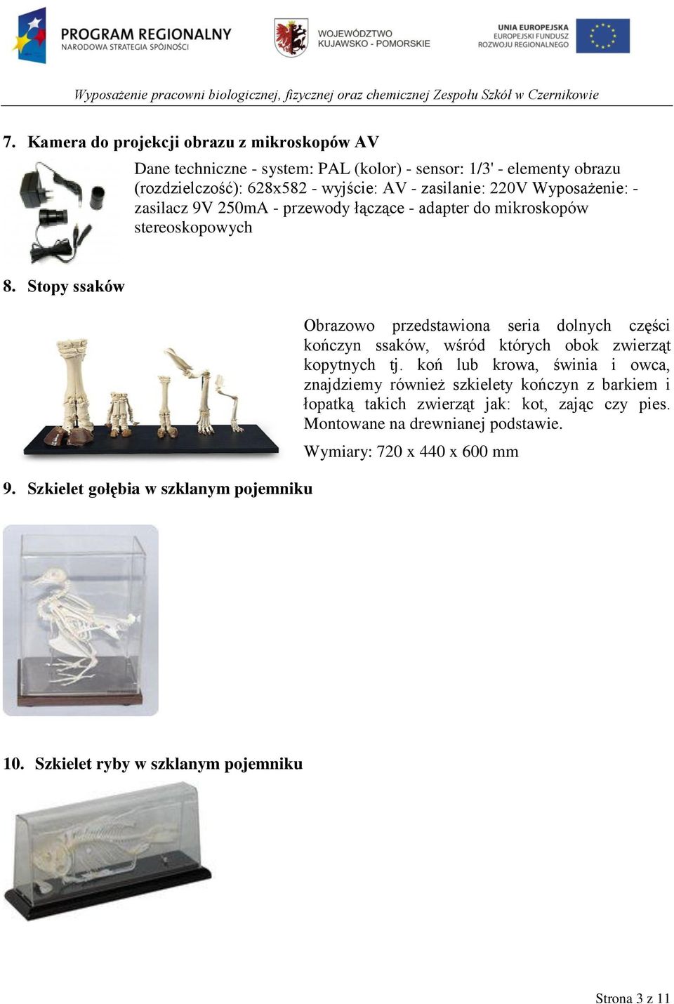 Szkielet gołębia w szklanym pojemniku Obrazowo przedstawiona seria dolnych części kończyn ssaków, wśród których obok zwierząt kopytnych tj.