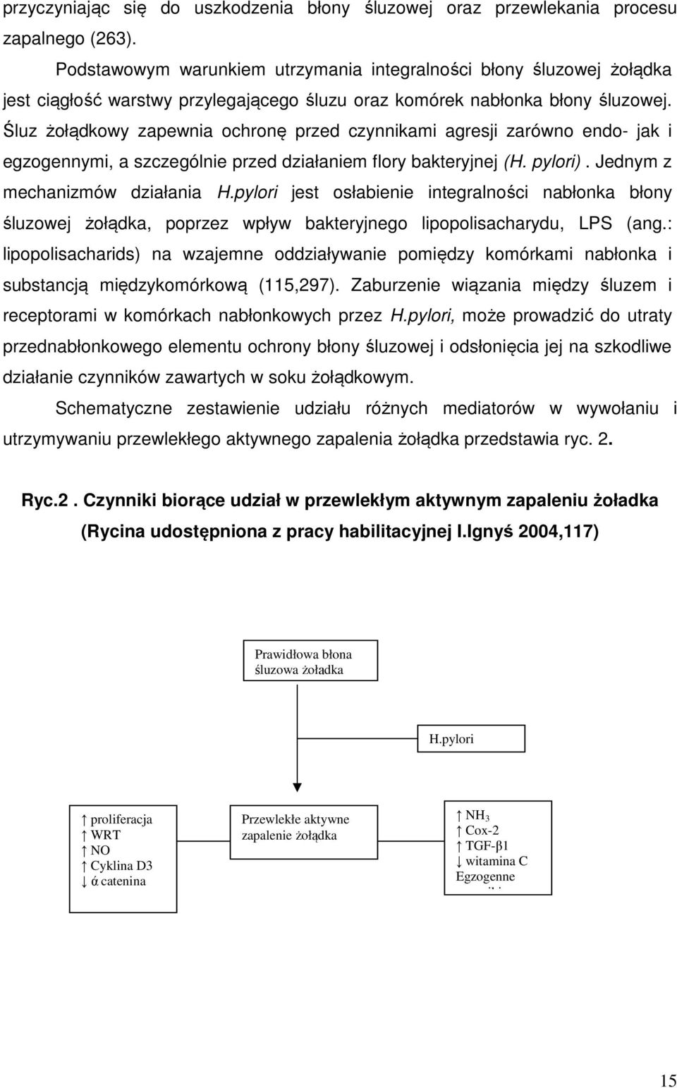 Śluz żołądkowy zapewnia ochronę przed czynnikami agresji zarówno endo- jak i egzogennymi, a szczególnie przed działaniem flory bakteryjnej (H. pylori). Jednym z mechanizmów działania H.