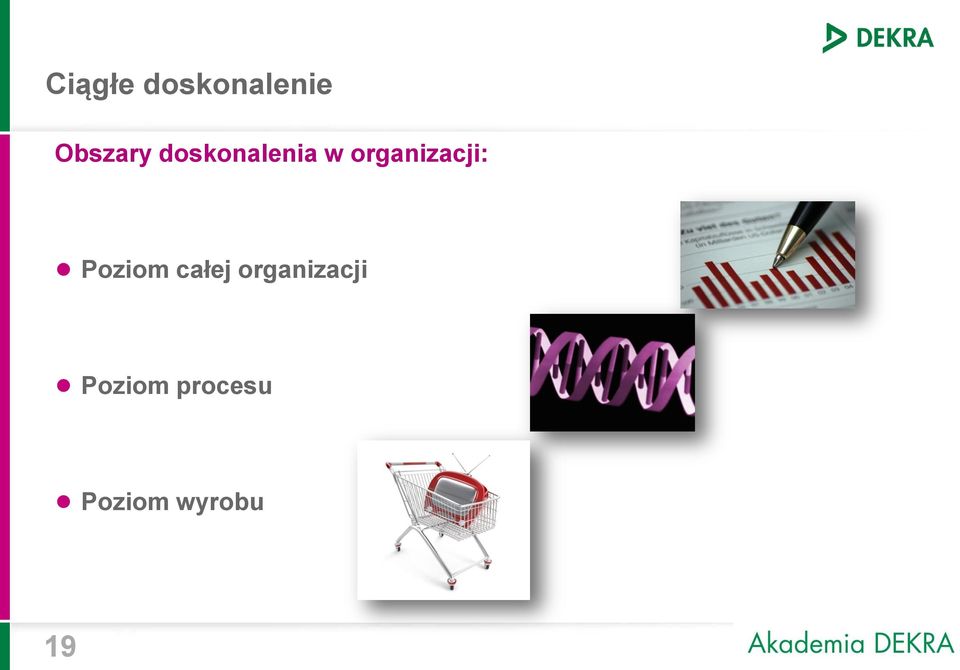 Poziom całej organizacji