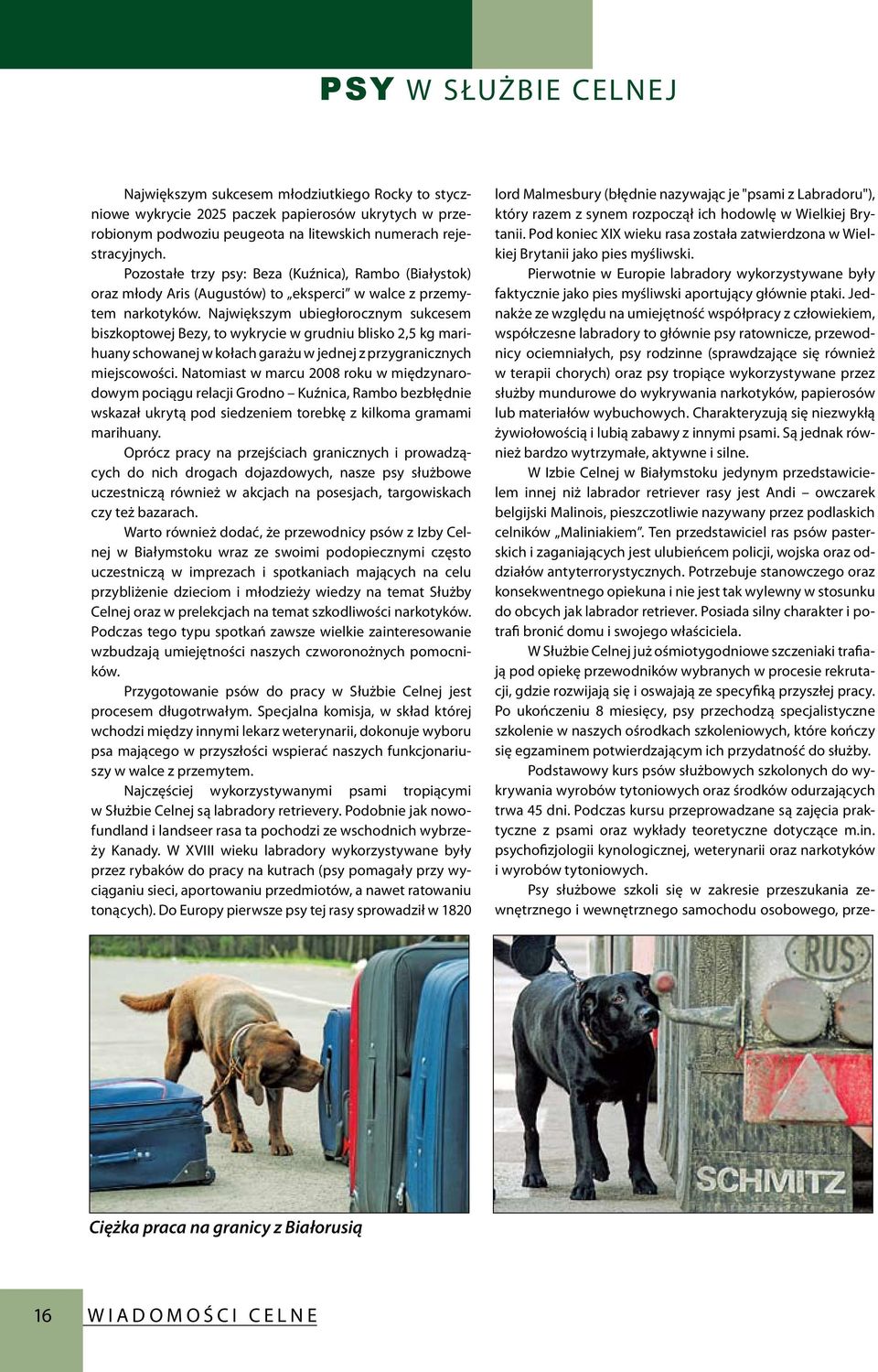 Największym ubiegłorocznym sukcesem biszkoptowej Bezy, to wykrycie w grudniu blisko 2,5 kg marihuany schowanej w kołach garażu w jednej z przygranicznych miejscowości.