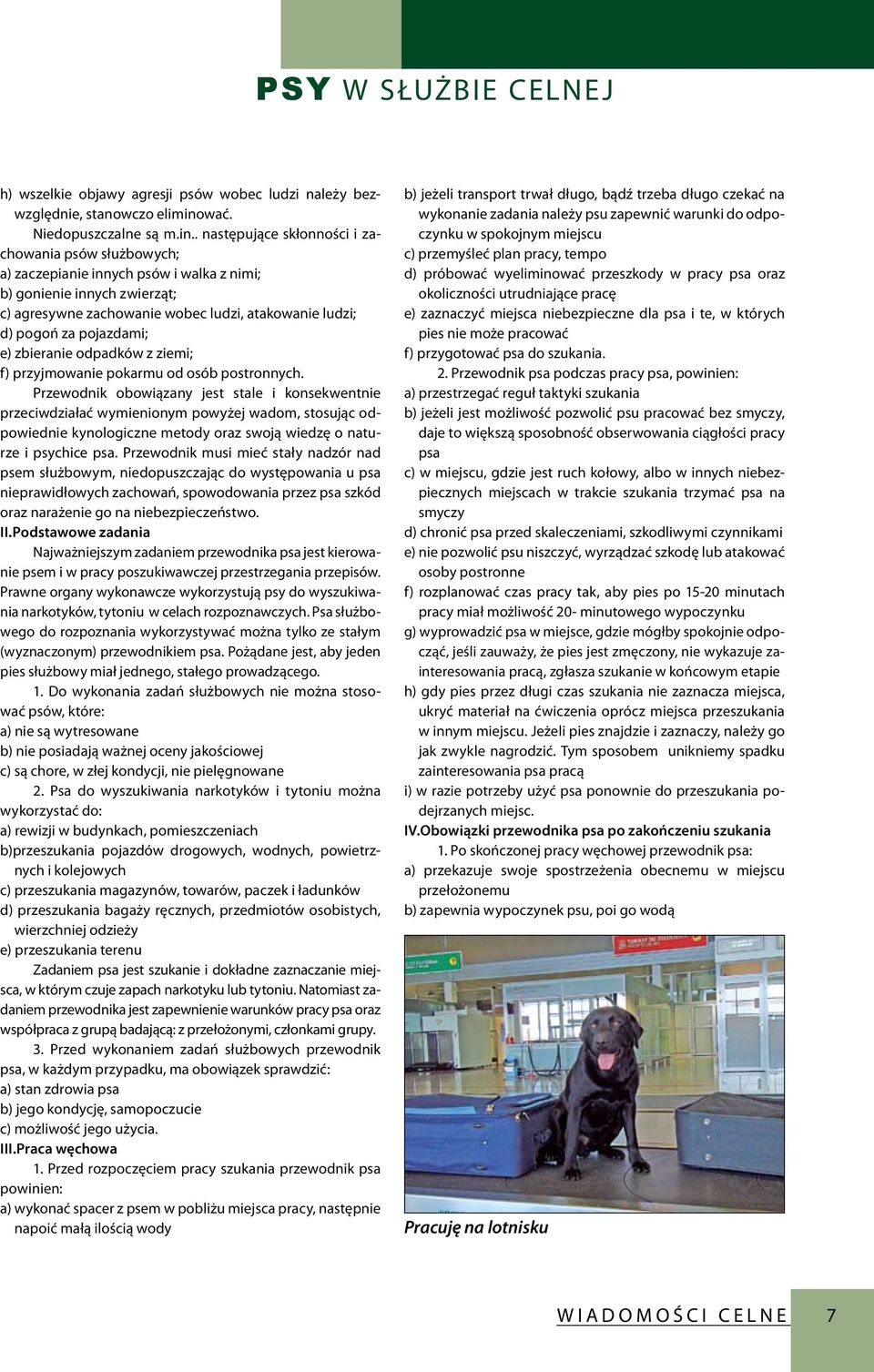 . następujące skłonności i zachowania psów służbowych; a) zaczepianie innych psów i walka z nimi; b) gonienie innych zwierząt; c) agresywne zachowanie wobec ludzi, atakowanie ludzi; d) pogoń za
