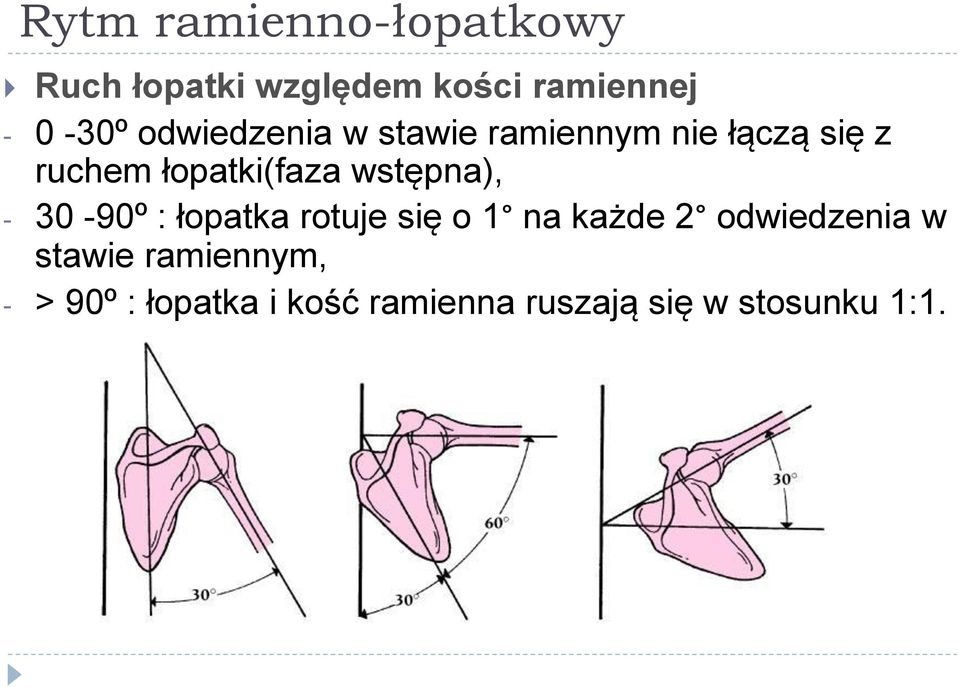 wstępna), - 30-90º : łopatka rotuje się o 1 na każde 2 odwiedzenia w