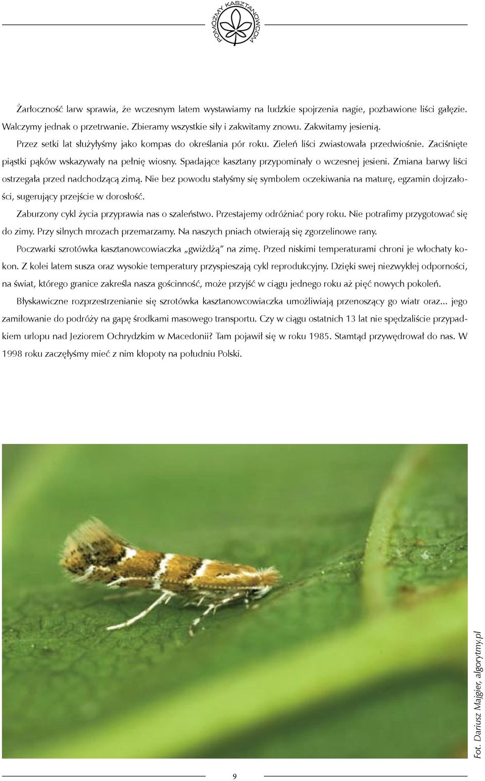 Spadające kasztany przypominały o wczesnej jesieni. Zmiana barwy liści ostrzegała przed nadchodzącą zimą.