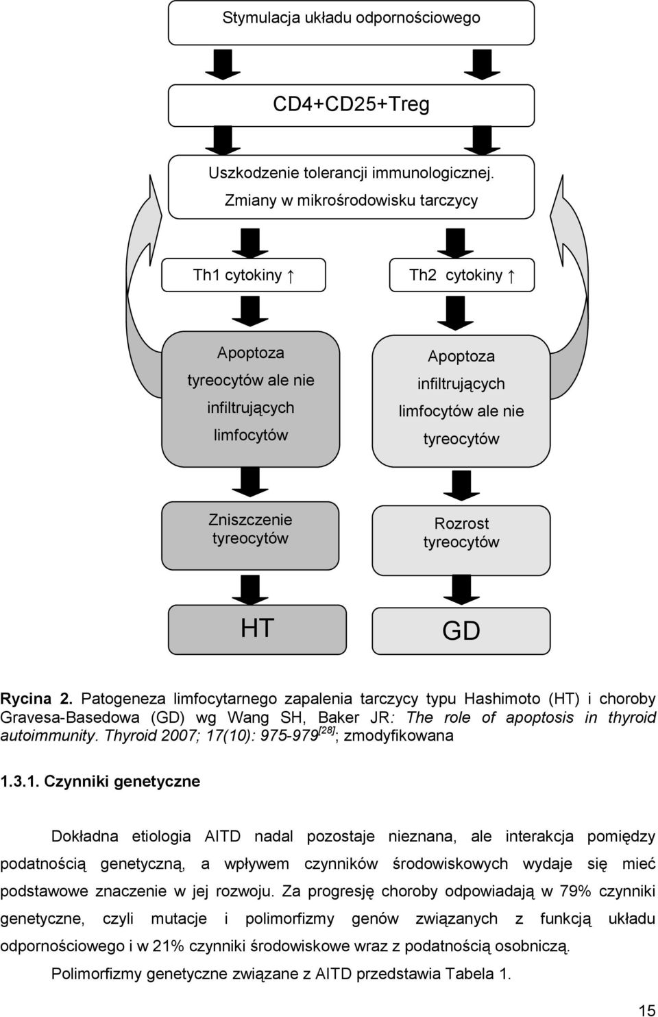 Rozrost tyreocytów HT GD Rycina 2. Patogeneza limfocytarnego zapalenia tarczycy typu Hashimoto (HT) i choroby Gravesa-Basedowa (GD) wg Wang SH, Baker JR: The role of apoptosis in thyroid autoimmunity.