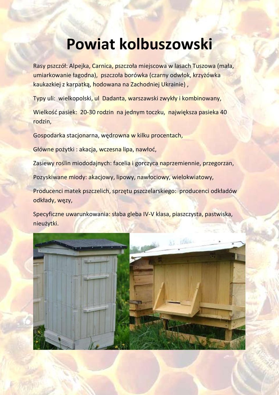 stacjonarna, wędrowna w kilku procentach, Główne pożytki : akacja, wczesna lipa, nawłoć, Zasiewy roślin miododajnych: facelia i gorczyca naprzemiennie, przegorzan, Pozyskiwane miody: akacjowy,