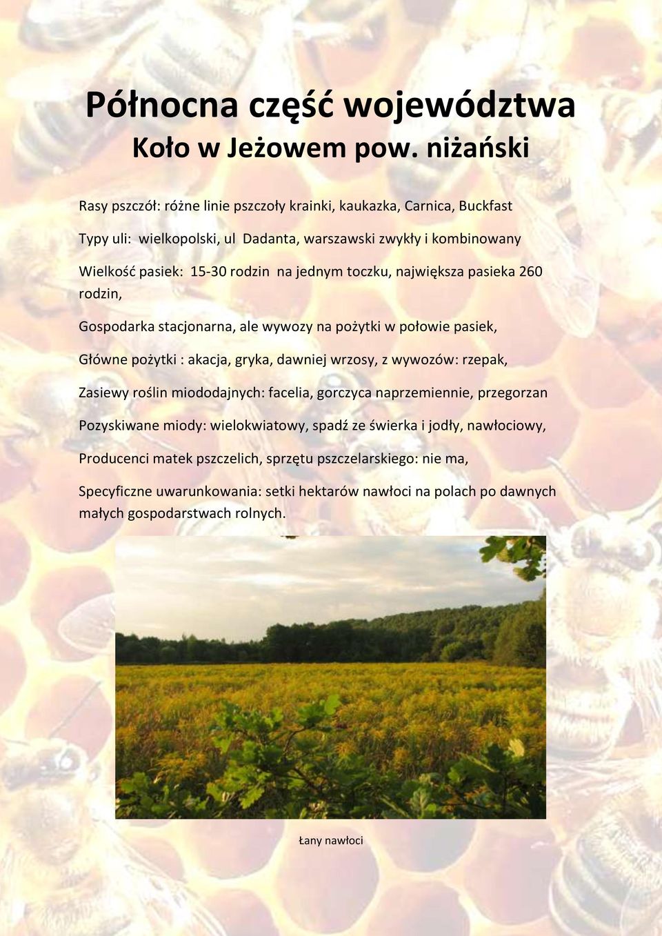 jednym toczku, największa pasieka 260 rodzin, Gospodarka stacjonarna, ale wywozy na pożytki w połowie pasiek, Główne pożytki : akacja, gryka, dawniej wrzosy, z wywozów: rzepak,