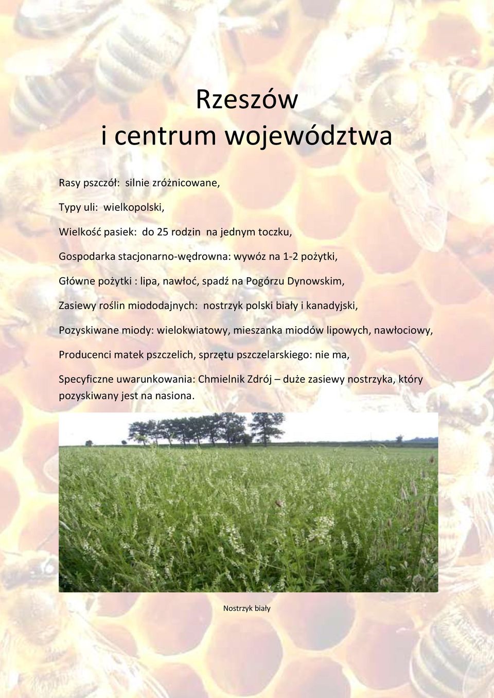 miododajnych: nostrzyk polski biały i kanadyjski, Pozyskiwane miody: wielokwiatowy, mieszanka miodów lipowych, nawłociowy, Producenci matek