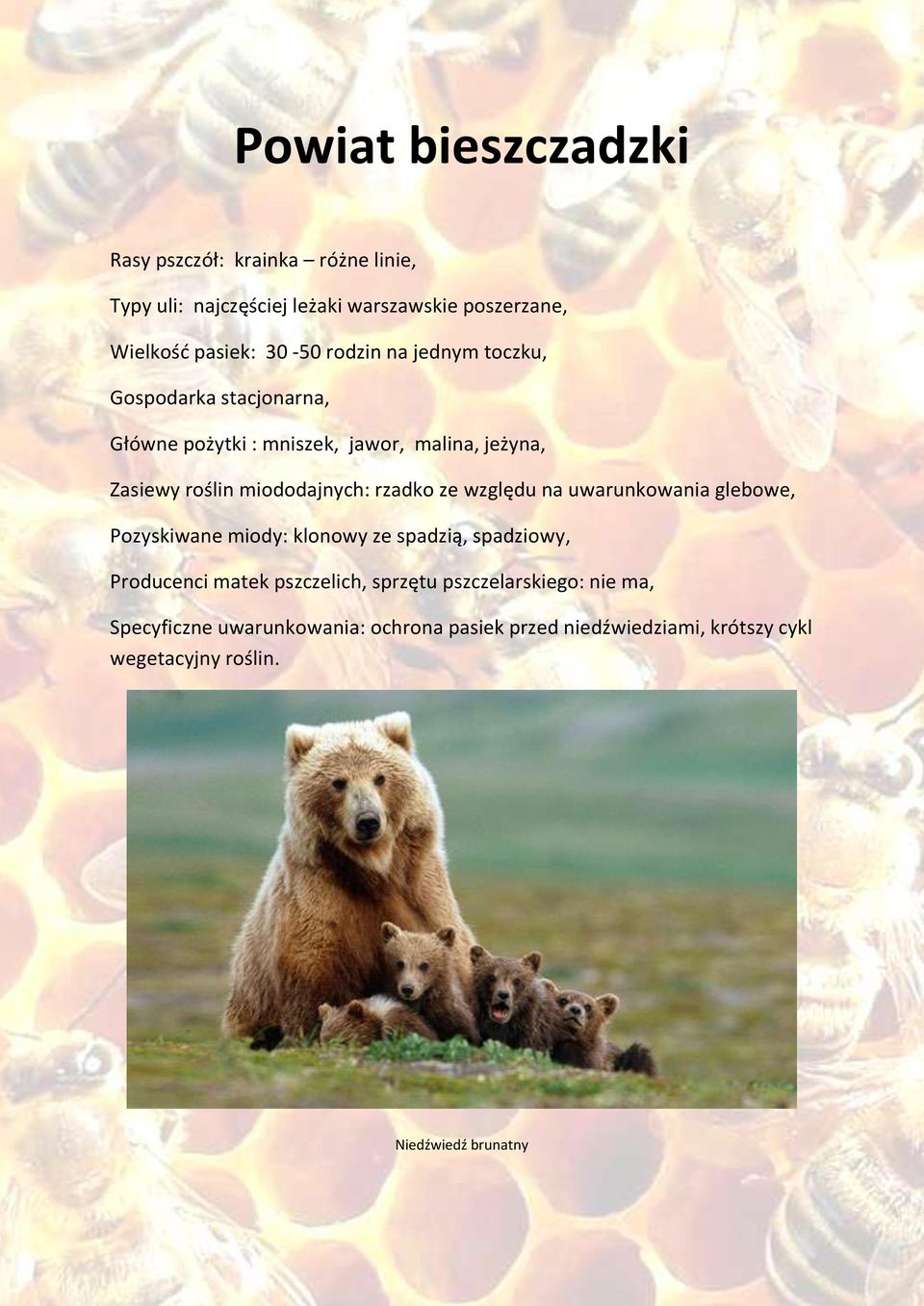 rzadko ze względu na uwarunkowania glebowe, Pozyskiwane miody: klonowy ze spadzią, spadziowy, Producenci matek pszczelich, sprzętu