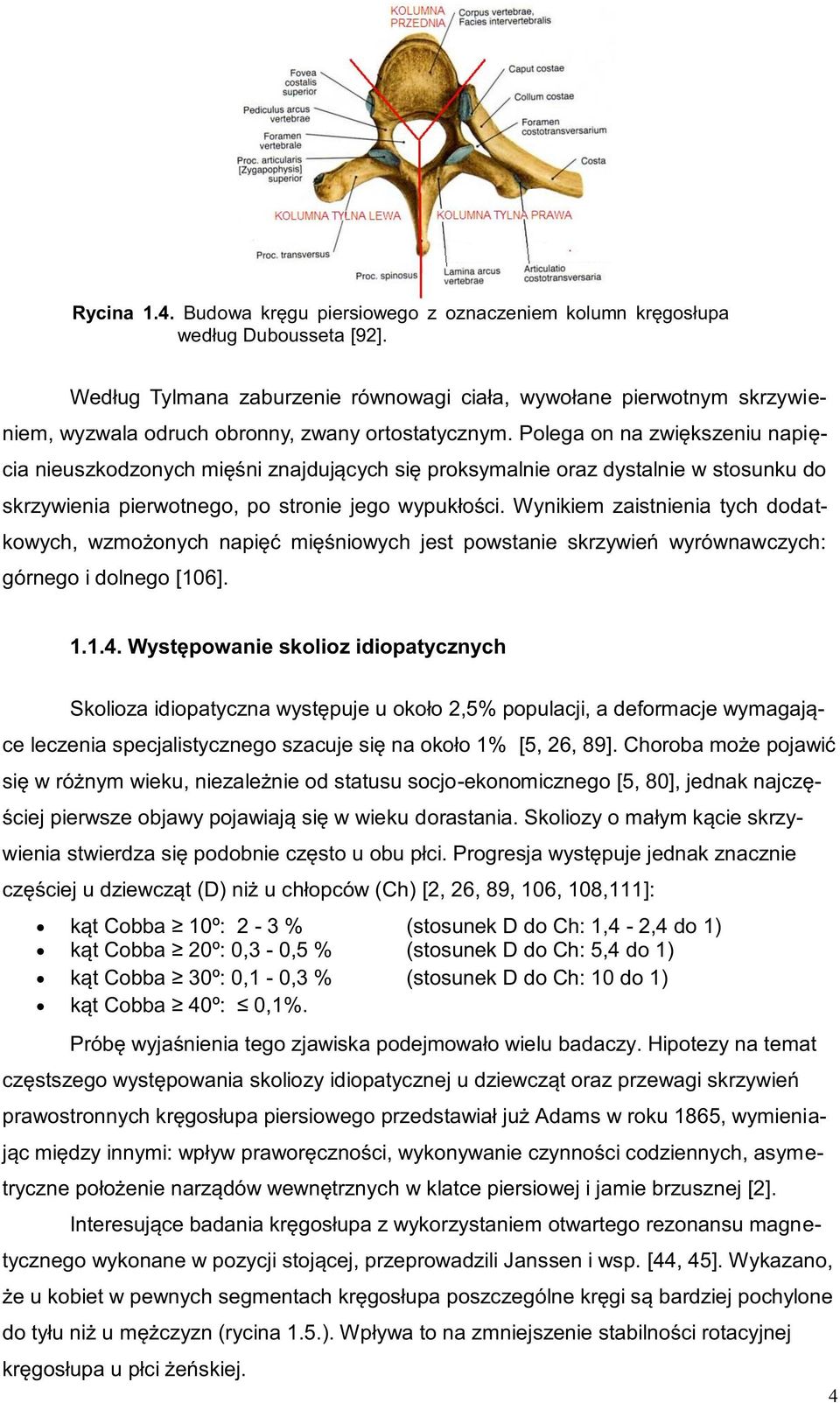 Polega on na zwiększeniu napięcia nieuszkodzonych mięśni znajdujących się proksymalnie oraz dystalnie w stosunku do skrzywienia pierwotnego, po stronie jego wypukłości.