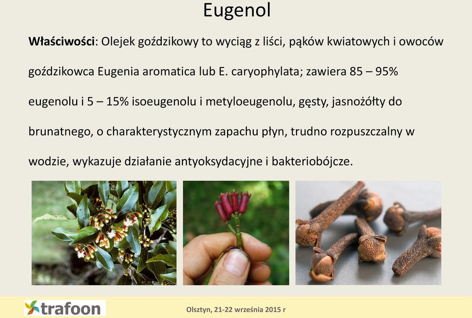 caryophylata; zawiera 85 95% eugenolu i 5 15% isoeugenolu i metyloeugenolu, gęsty,