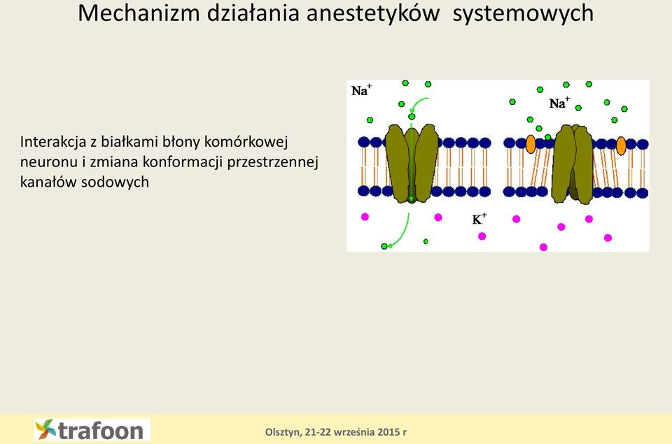 błony komórkowej neuronu i zmiana