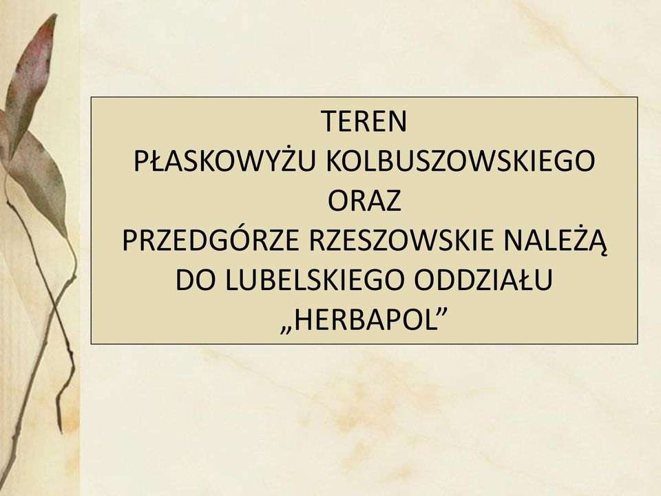 PRZEDGÓRZE RZESZOWSKIE