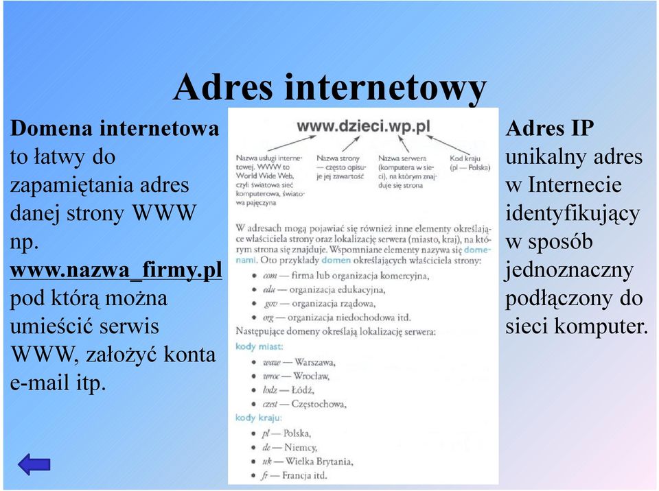 pl pod którą można umieścić serwis WWW, założyć konta e-mail itp.