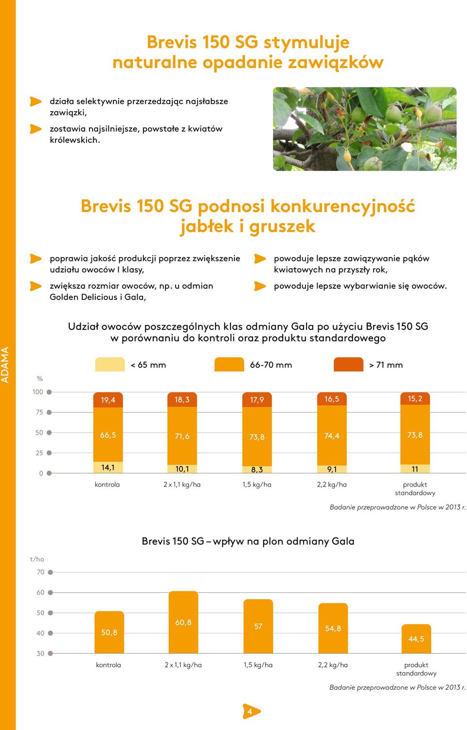 u odmian Golden Delicious i Gala, powoduje lepsze zawiązywanie pąków kwiatowych na przyszły rok, powoduje lepsze wybarwianie się owoców.
