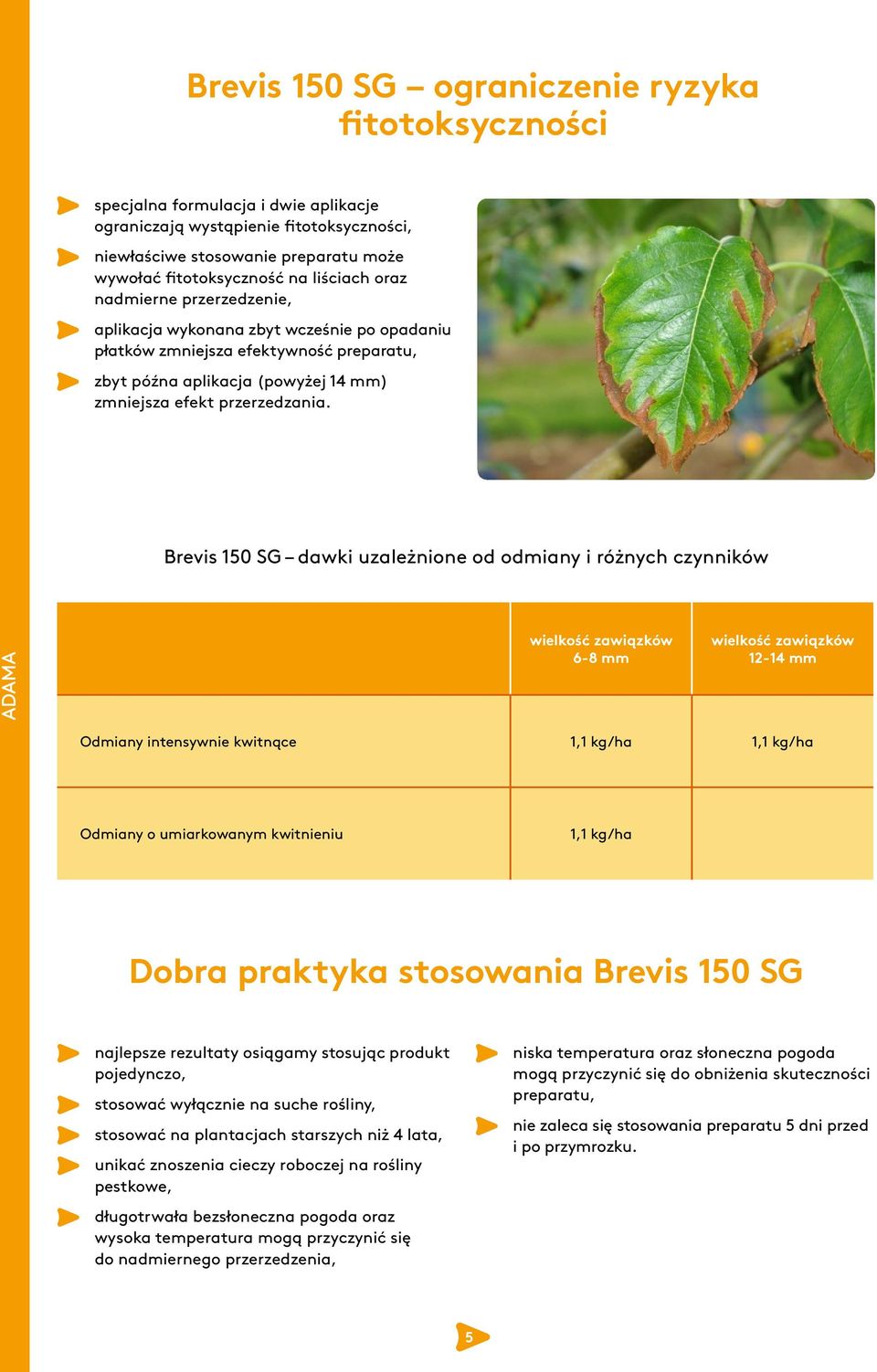 Brevis 150 SG dawki uzależnione od odmiany i różnych czynników wielkość zawiązków 6-8 mm wielkość zawiązków 12-14 mm Odmiany intensywnie kwitnące 1,1 kg/ha 1,1 kg/ha Odmiany o umiarkowanym kwitnieniu