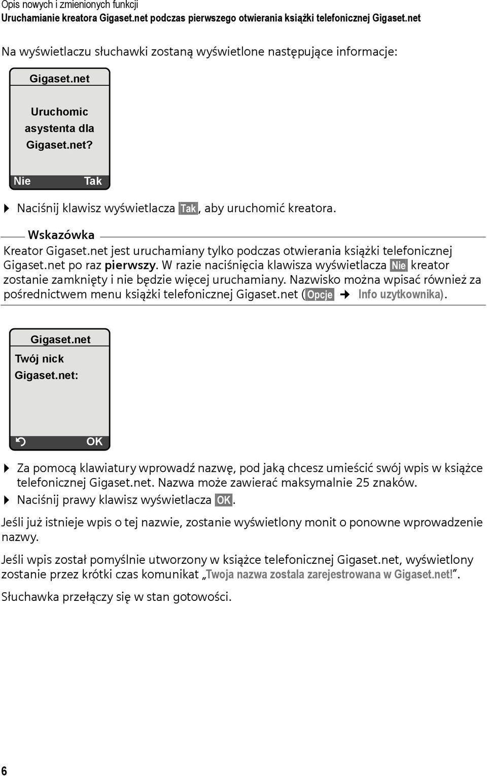 net jest uruchamiany tylko podczas otwierania książki telefonicznej Gigaset.net po raz pierwszy.