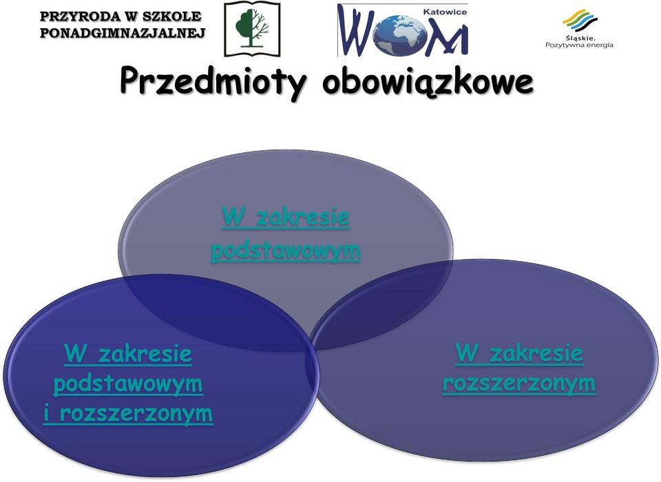 zakresie podstawowym i