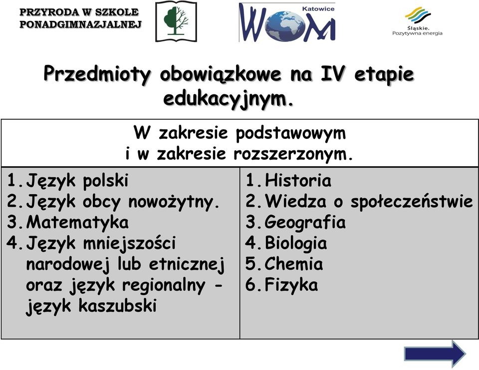 Język mniejszości narodowej lub etnicznej oraz język regionalny - język