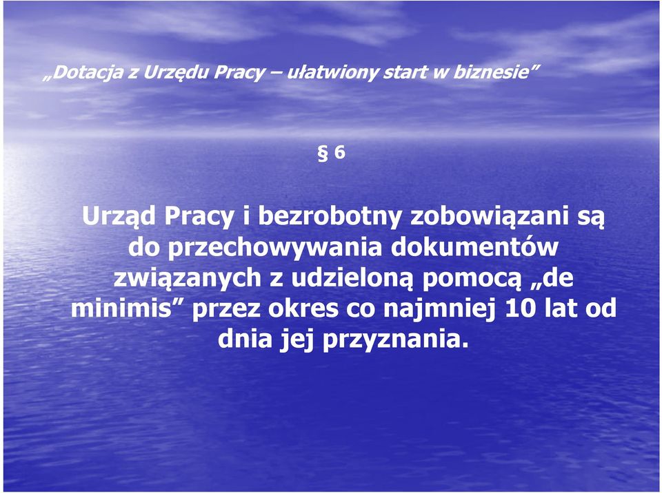 udzieloną pomocą de minimis przez okres