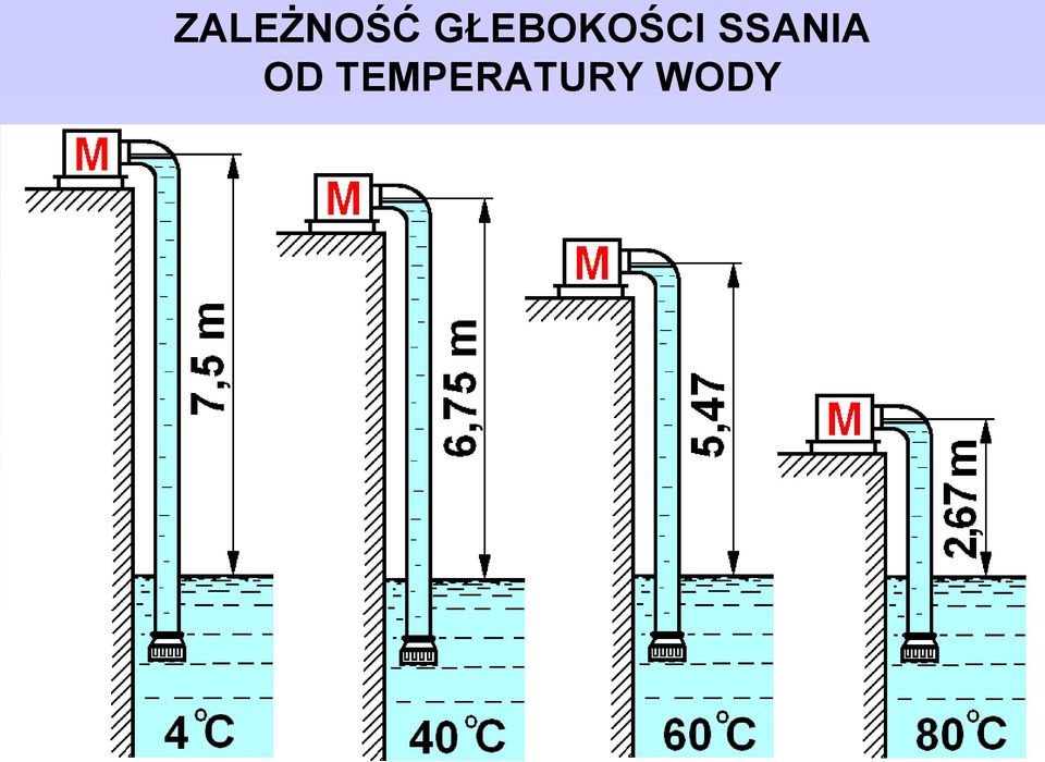 SSANIA OD