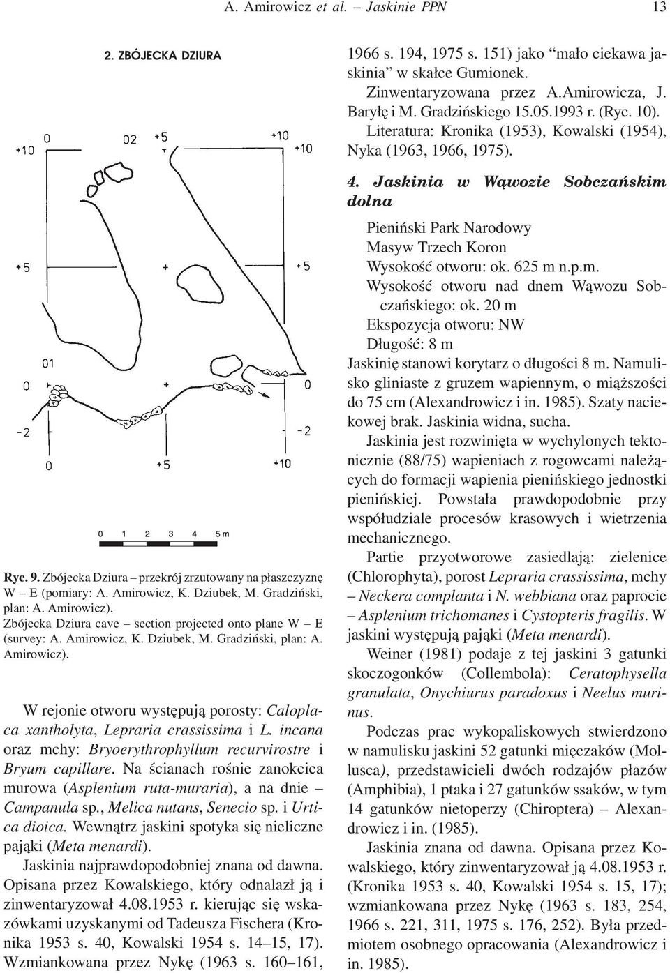 Amirowicz). Zbójecka Dziura cave section projected onto plane W E (survey: A. Amirowicz, K. Dziubek, M. Gradziński, plan: A. Amirowicz).