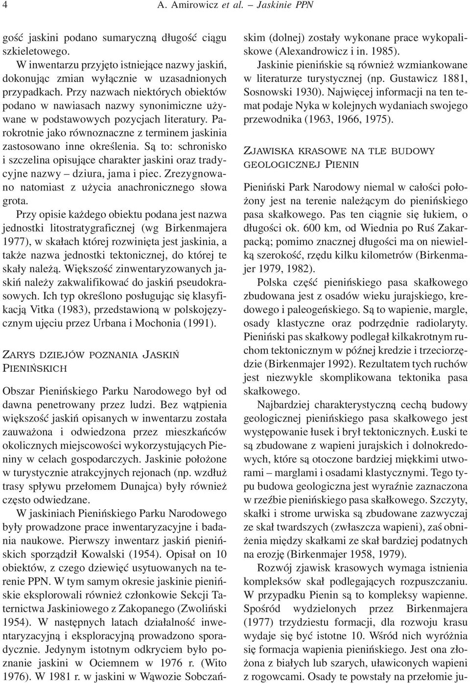 Są to: schronisko i szczelina opisujące charakter jaskini oraz tradycyjne nazwy dziura, jama i piec. Zrezygnowano natomiast z użycia anachronicznego słowa grota.