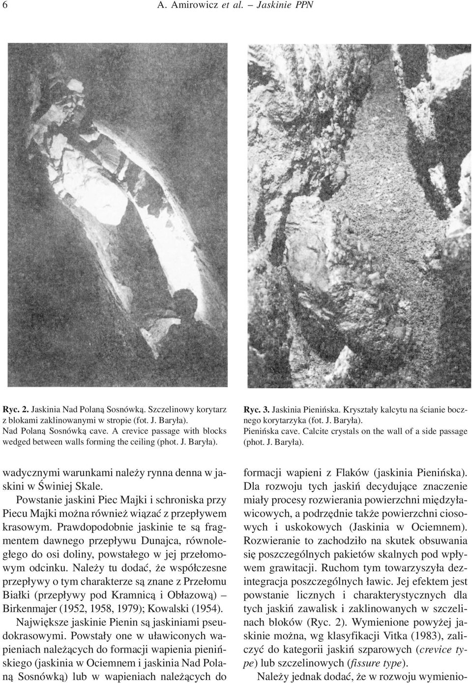 Calcite crystals on the wall of a side passage (phot. J. Baryła). wadycznymi warunkami należy rynna denna w jaskini w Świniej Skale.