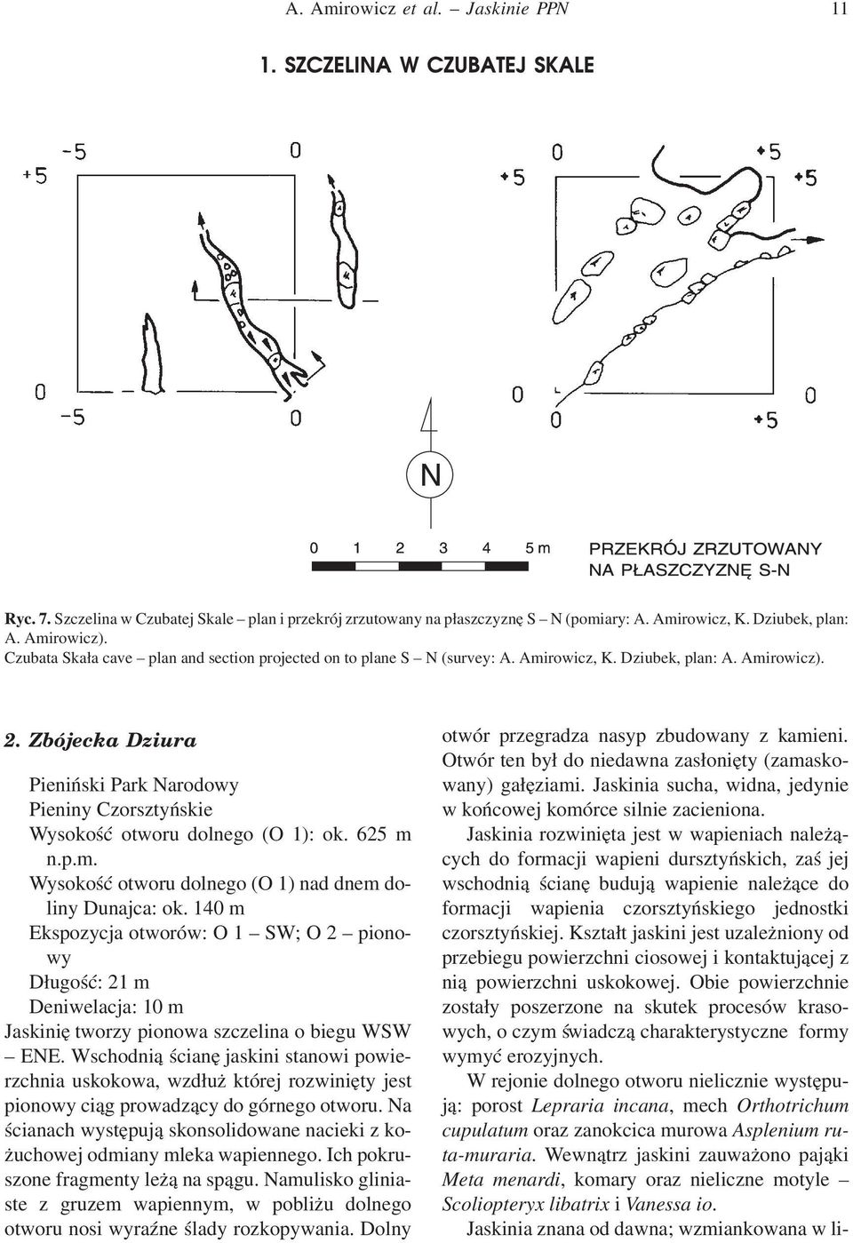 625 m n.p.m. Wysokość otworu dolnego (O 1) nad dnem doliny Dunajca: ok. 140 m Ekspozycja otworów: O 1 SW; O 2 pionowy Długość: 21 m Deniwelacja: 10 m Jaskinię tworzy pionowa szczelina o biegu WSW ENE.