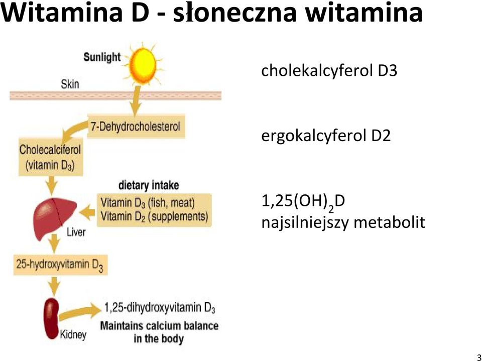 D3 ergokalcyferol D2