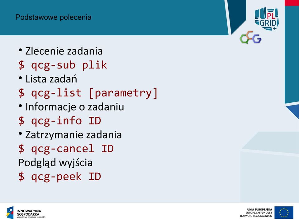[parametry] Informacje o zadaniu $ qcg-info ID