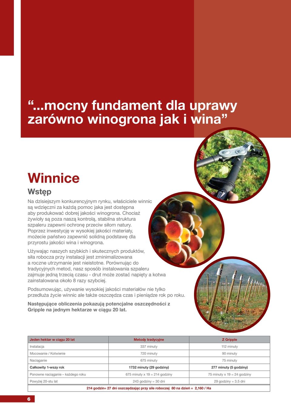 Poprzez inwestycję w wysokiej jakości materiały, możecie państwo zapewnić solidną podstawę dla przyrostu jakości wina i winogrona.