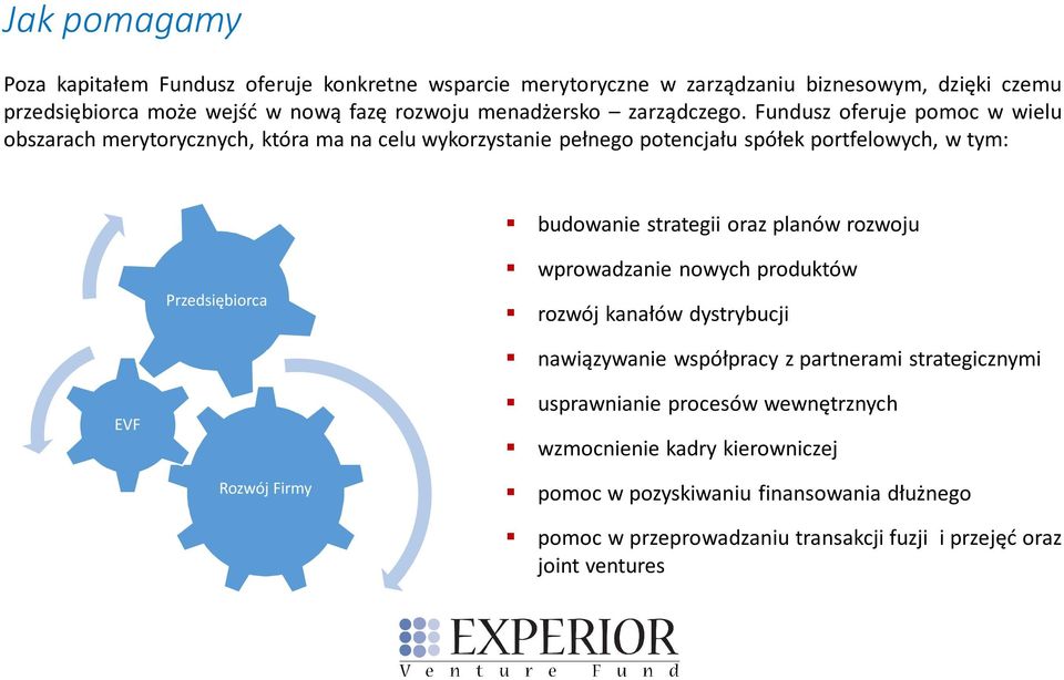 Fundusz oferuje pomoc w wielu obszarach merytorycznych, która ma na celu wykorzystanie pełnego potencjału spółek portfelowych, w tym: budowanie strategii oraz planów