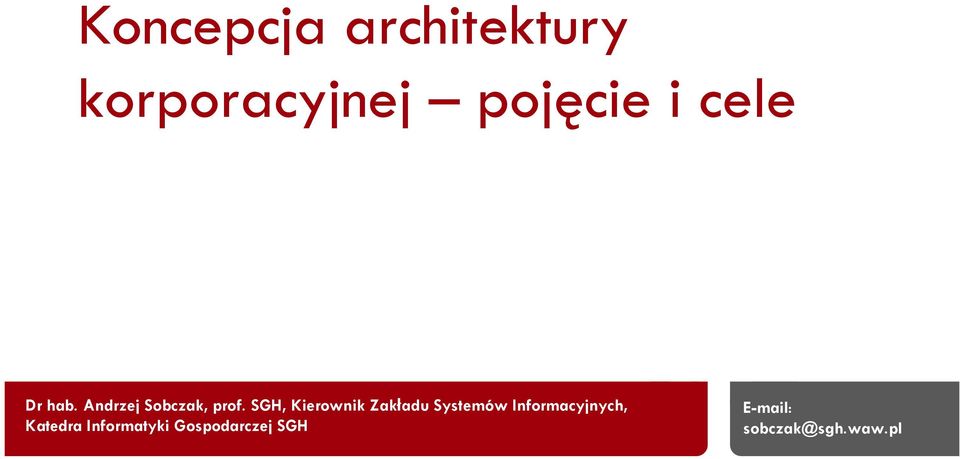 SGH, Kierownik Zakładu Systemów Informacyjnych,