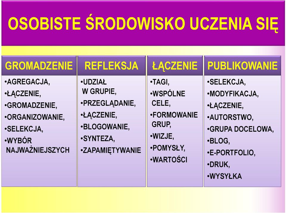 ŁĄCZENIE, BLOGOWANIE, SYNTEZA, ZAPAMIĘTYWANIE TAGI, WSPÓLNE CELE, FORMOWANIE GRUP, WIZJE,