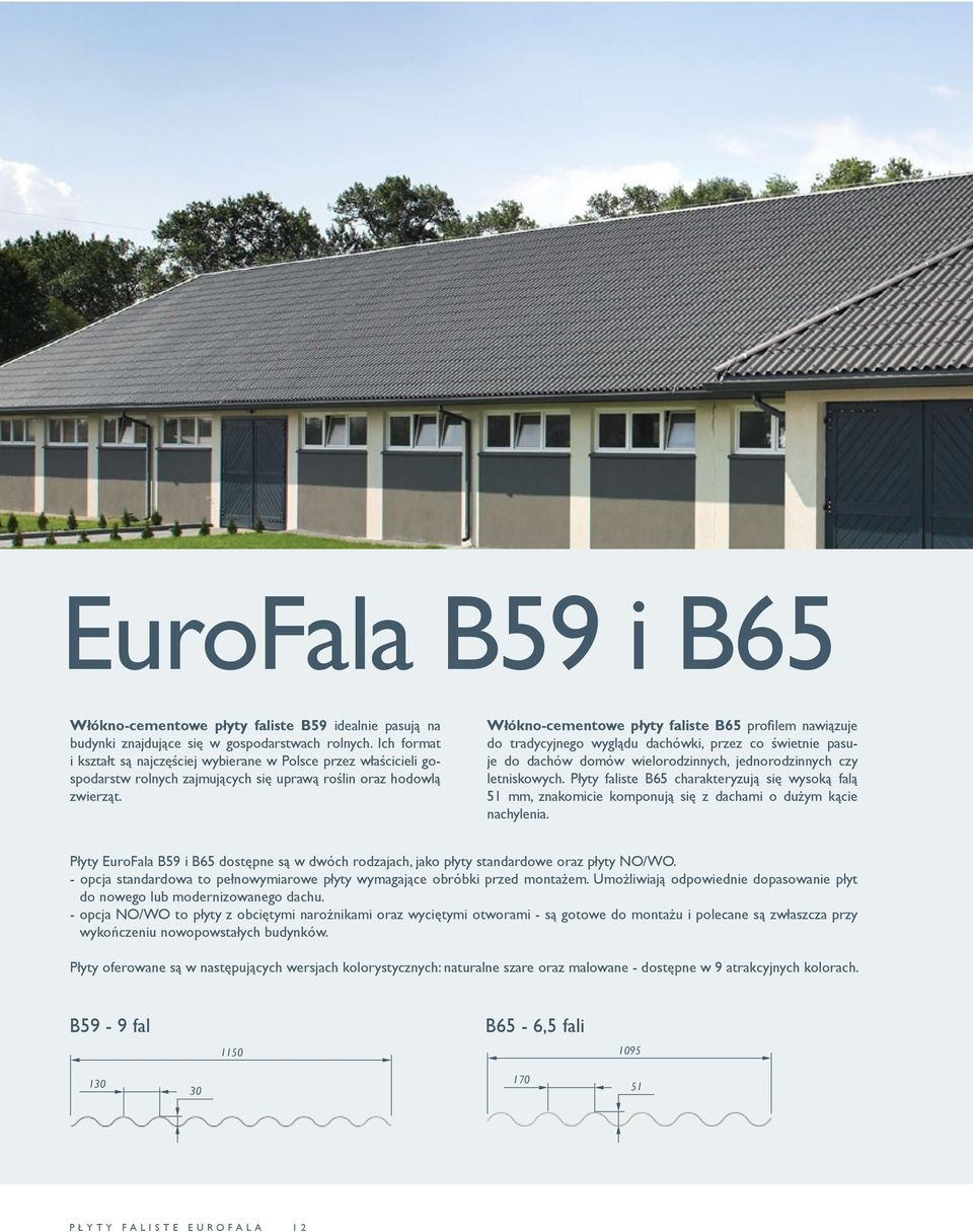 Włókno-cementowe płyty faliste B65 profilem nawiązuje do tradycyjnego wyglądu dachówki, przez co świetnie pasuje do dachów domów wielorodzinnych, jednorodzinnych czy letniskowych.