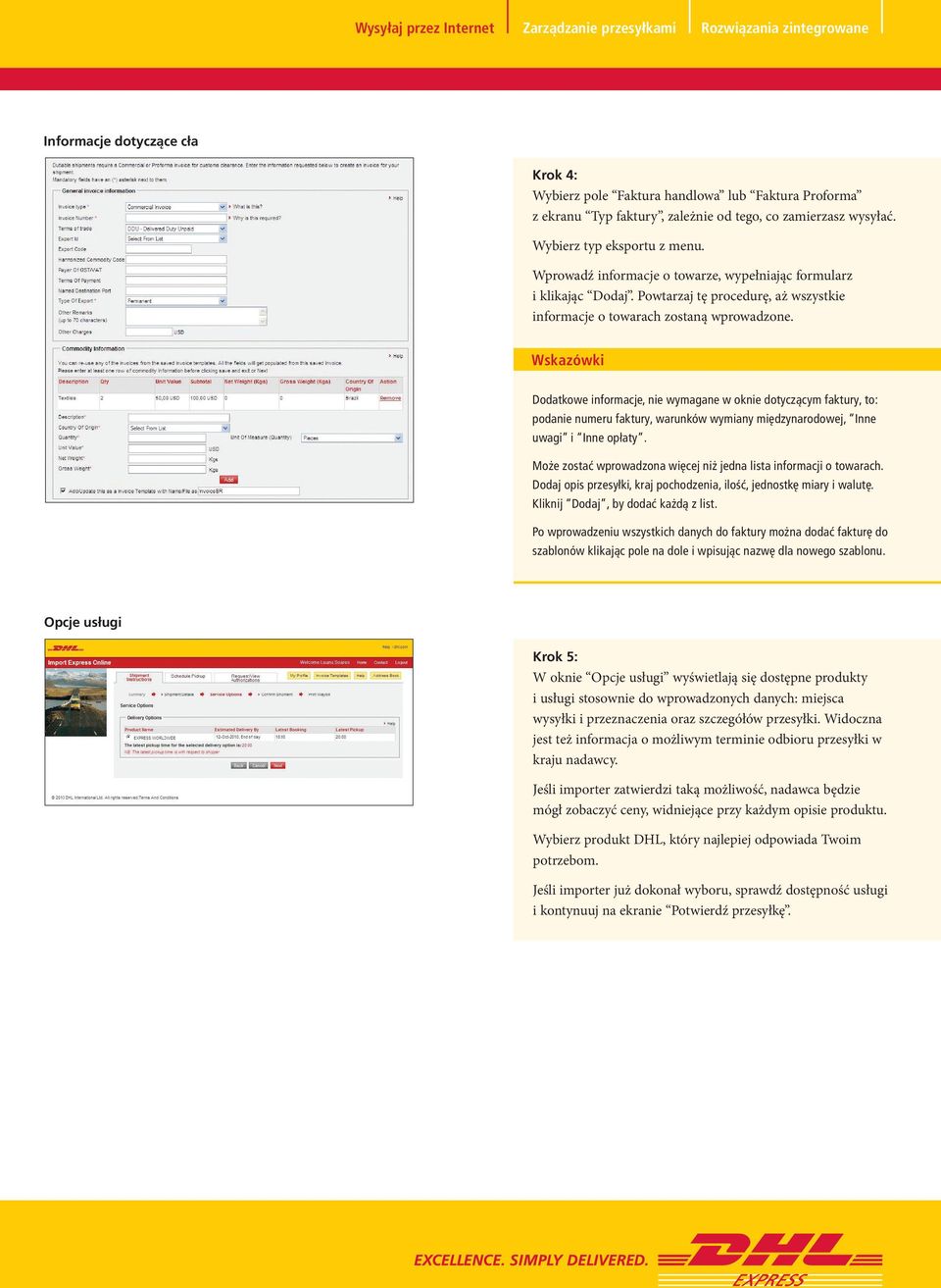 Wskazówki Dodatkowe informacje, nie wymagane w oknie dotyczącym faktury, to: podanie numeru faktury, warunków wymiany międzynarodowej, Inne uwagi i Inne opłaty.