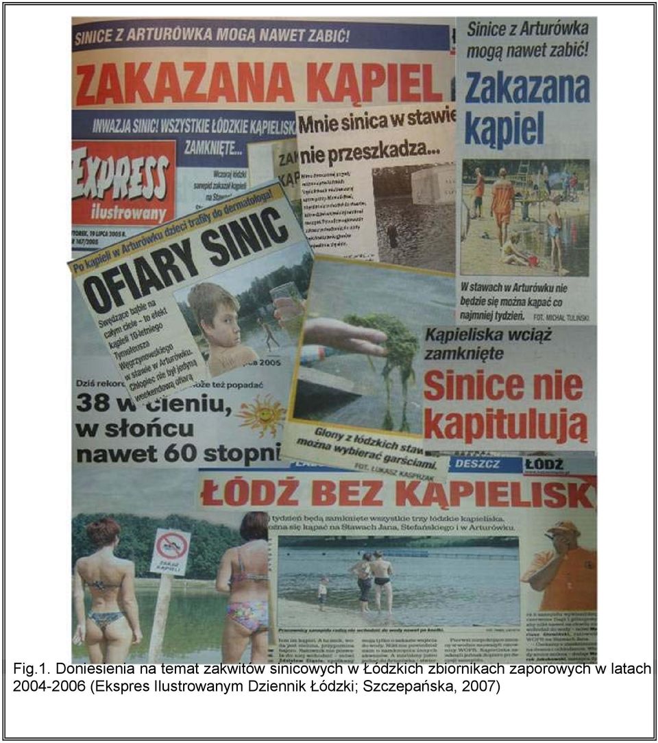 sinicowych w Łódzkich zbiornikach