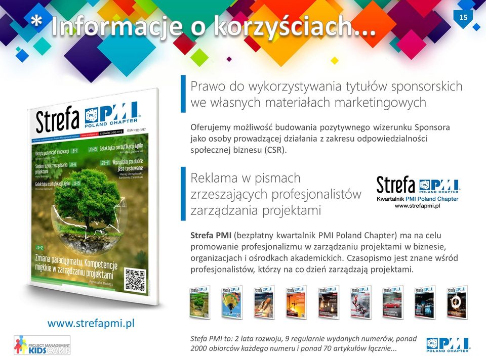 Reklama w pismach zrzeszających profesjonalistów zarządzania projektami Strefa PMI (bezpłatny kwartalnik PMI Poland Chapter) ma na celu promowanie profesjonalizmu w zarządzaniu