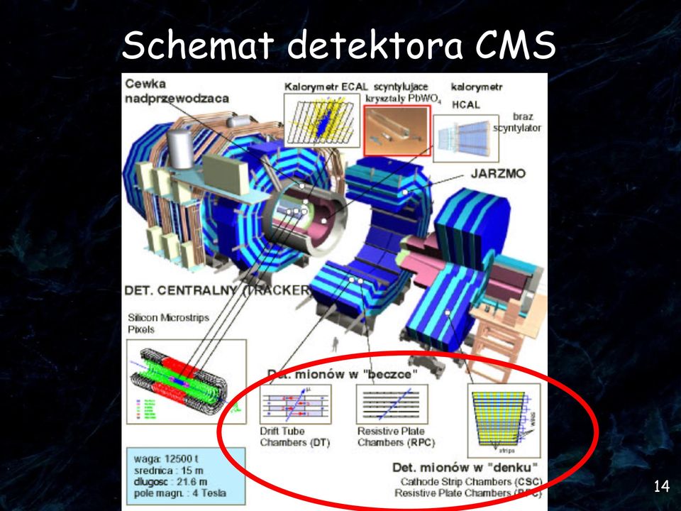 CMS 14