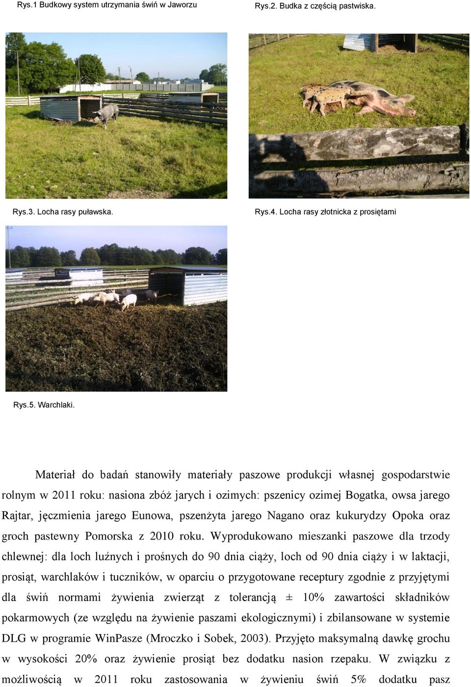 pszenżyta jarego Nagano oraz kukurydzy Opoka oraz groch pastewny Pomorska z 2010 roku.